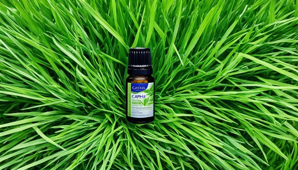 óleo essencial de capim limão